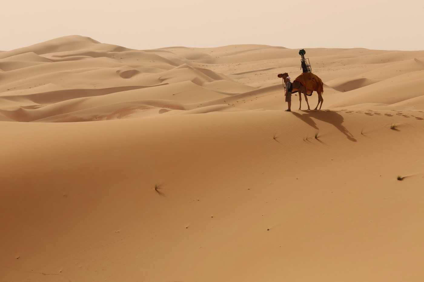 Google 街景骆驼