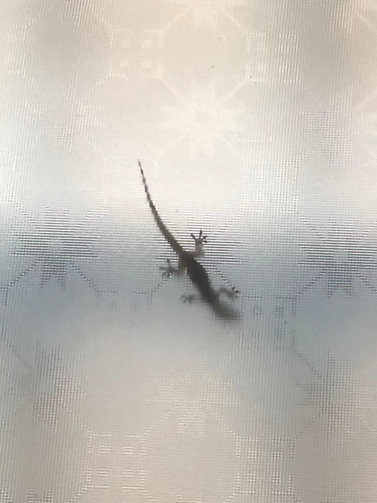微信图片_20231230103017.jpg
