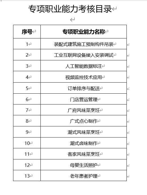 考试项目