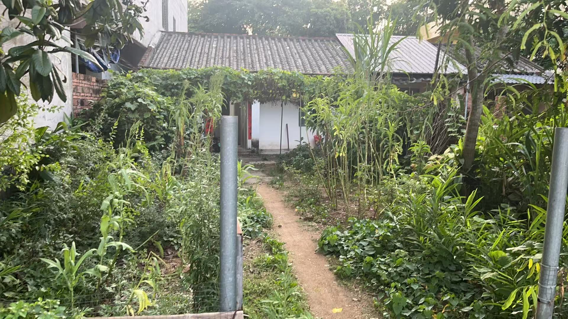 大伯婆家